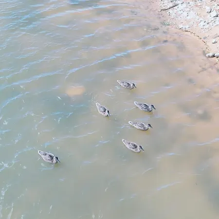 Bayline- Beachfront And Pool *