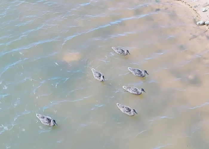 Bayline- Beachfront And Pool *